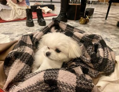 474952272_17883963012208726_5004665226531754679_n_1080