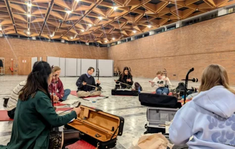 PXL_20241216_175141203.MP~2